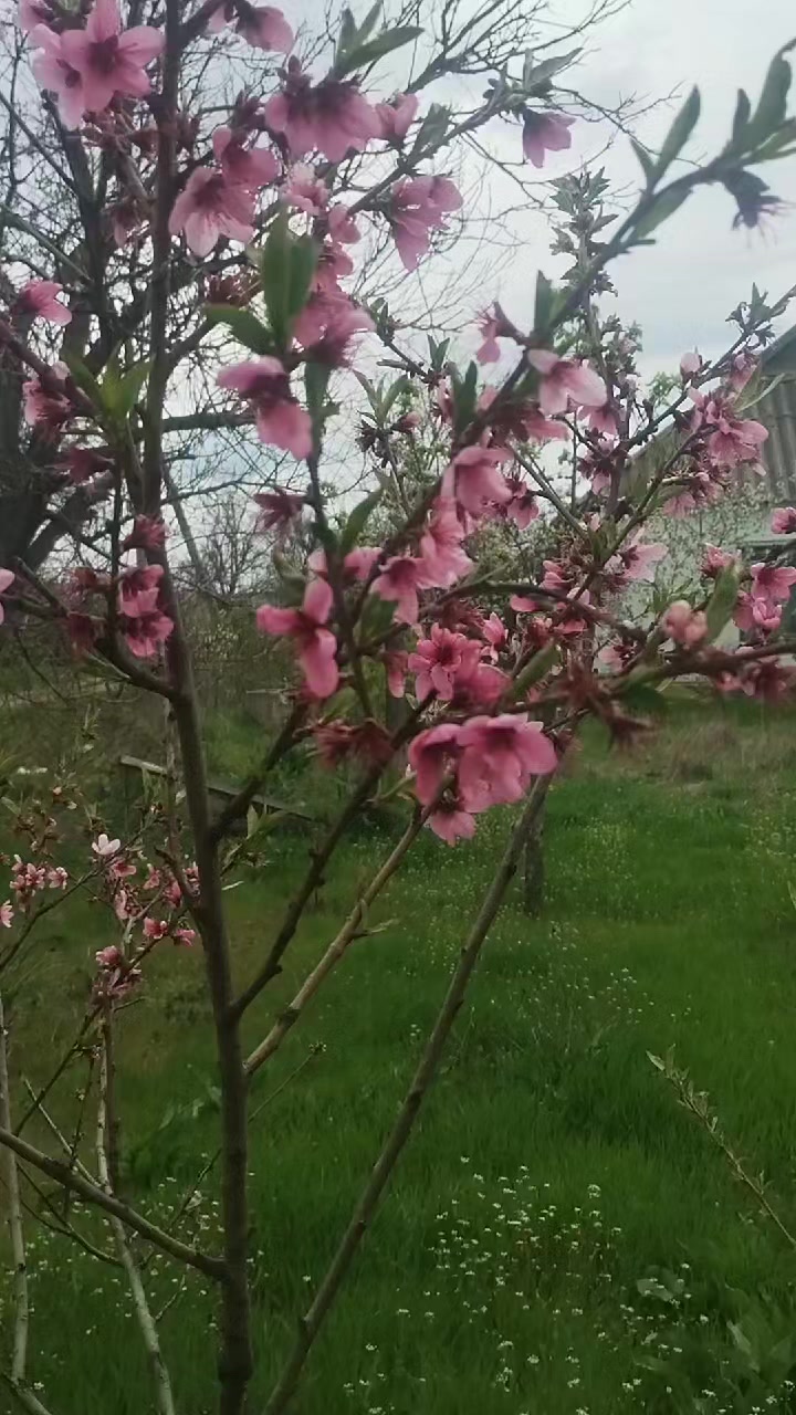 @💞💞НАТУЛЯ💞💞