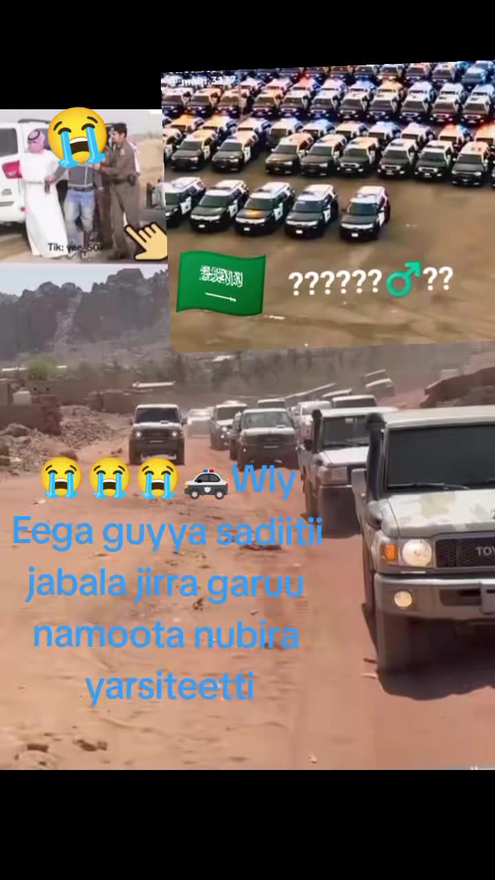 @Hamzaa habiib1