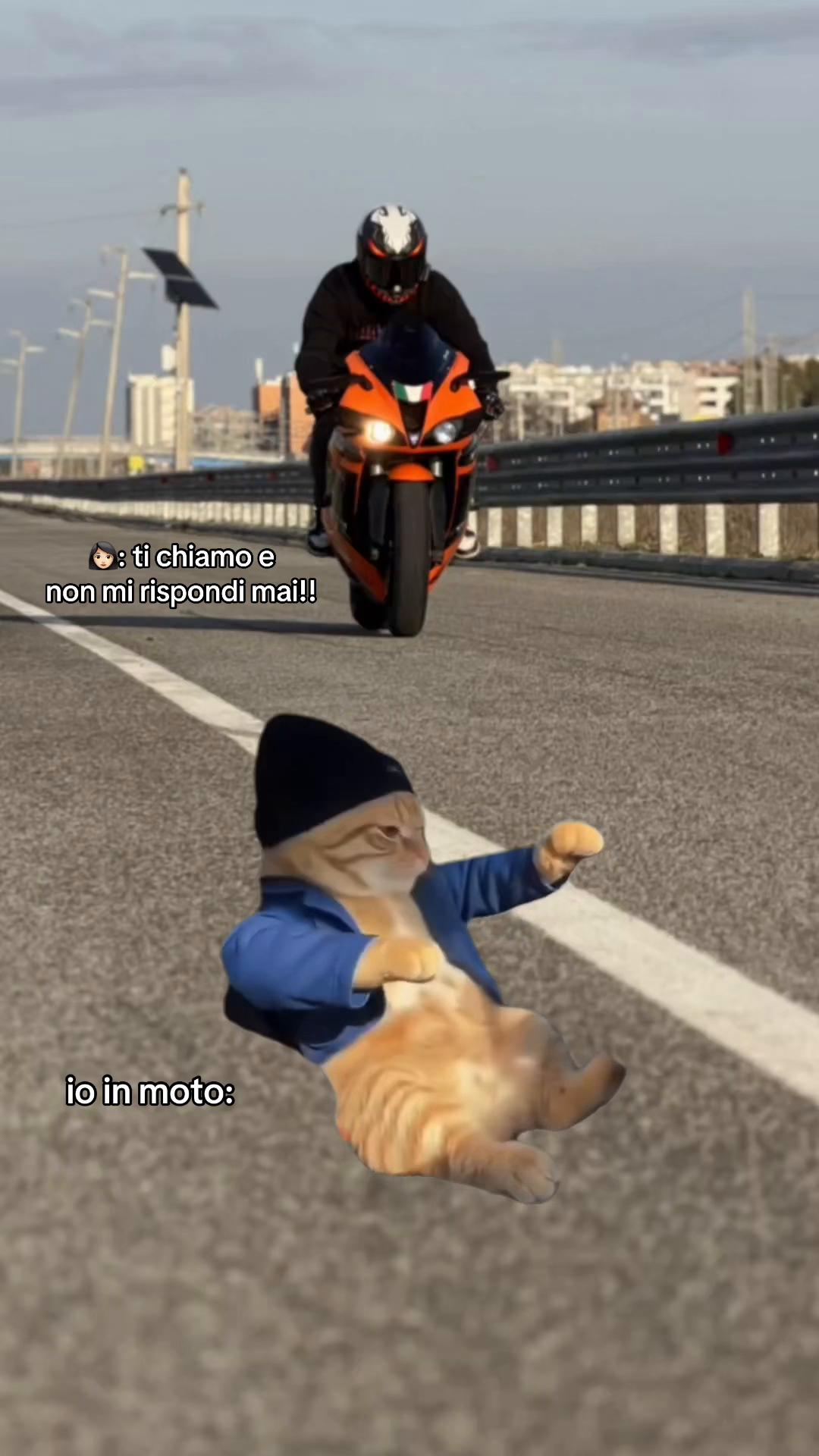 @samu.zx6r
