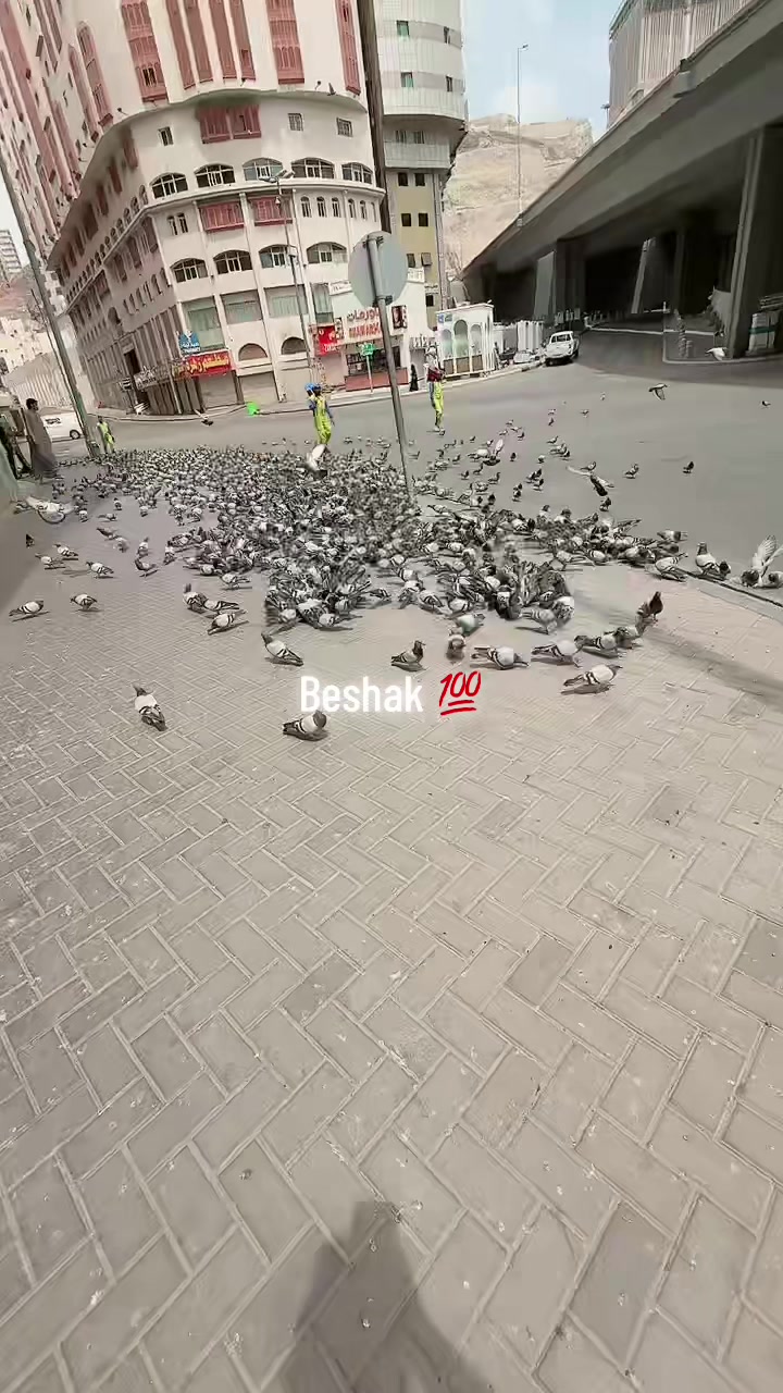 @Saudi Life 🧬 🇦🇪🇵🇰🇸🇦 🔥