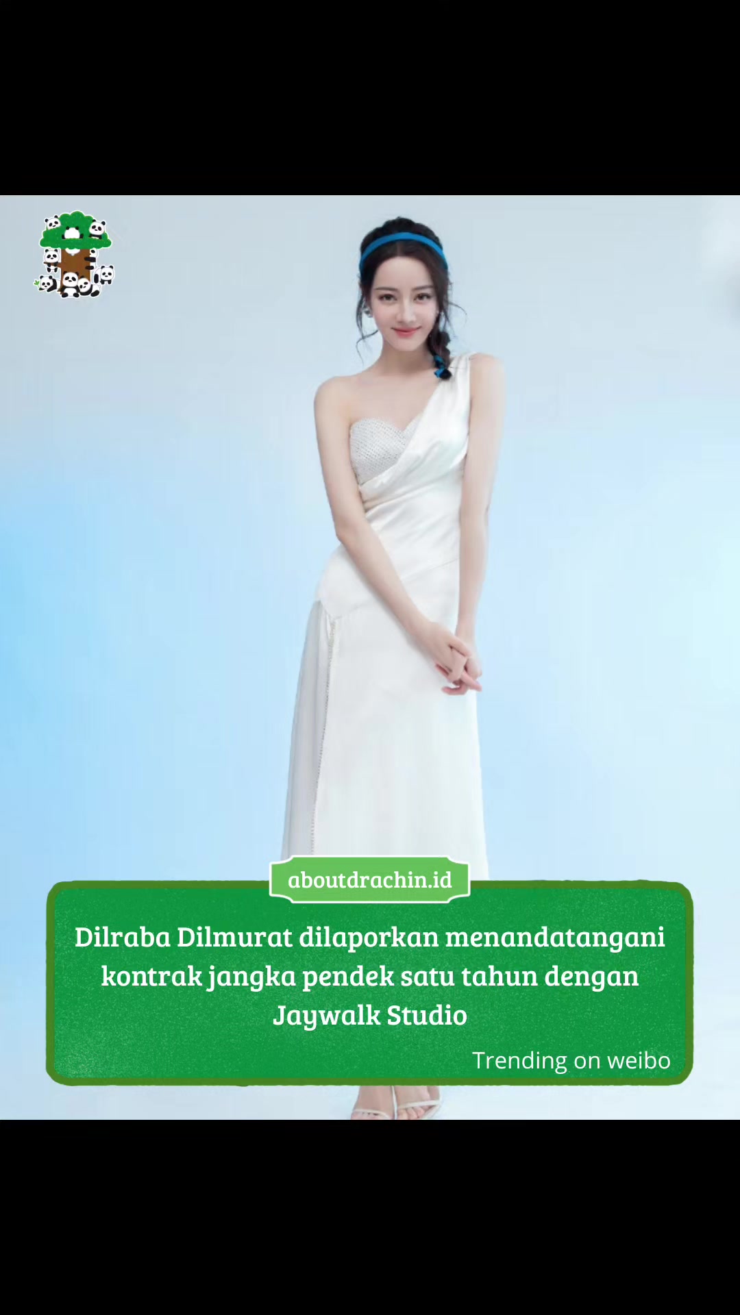@About Drachin || Jastip