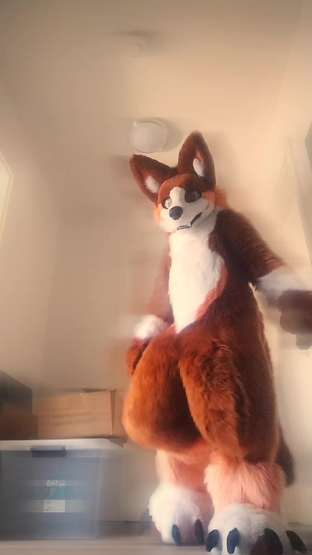 @🍑ℙ𝕖𝕒𝕔𝕙𝕠🍑