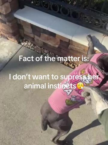 @CC.Corsos