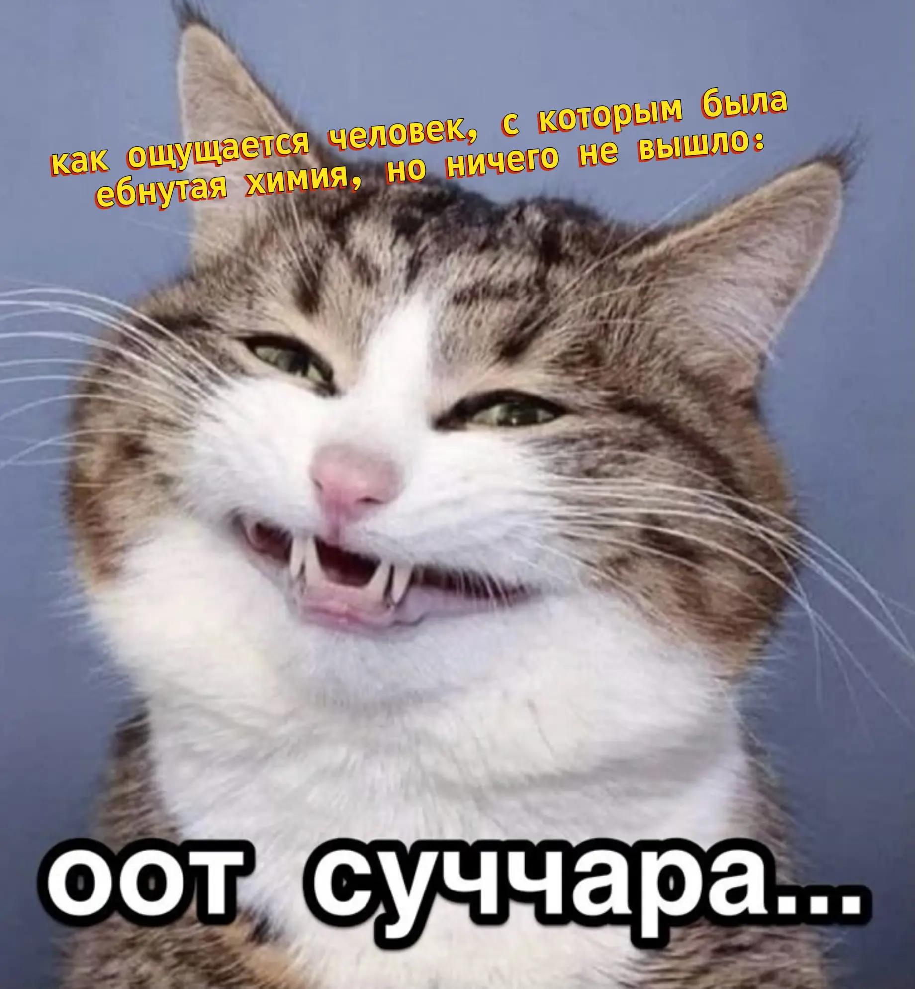 @꧁༺ 𝓥𝓮𝓭𝓶𝓸𝓬𝓱𝓴𝓪 ༻꧂