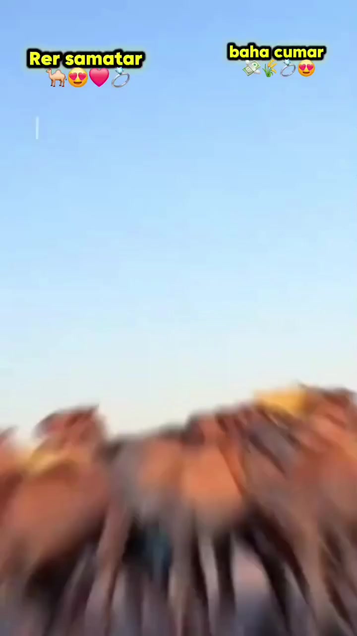 @𝒎𝒊𝒔𝒔 𝒄𝒐𝒇𝒇𝒆☕🤎