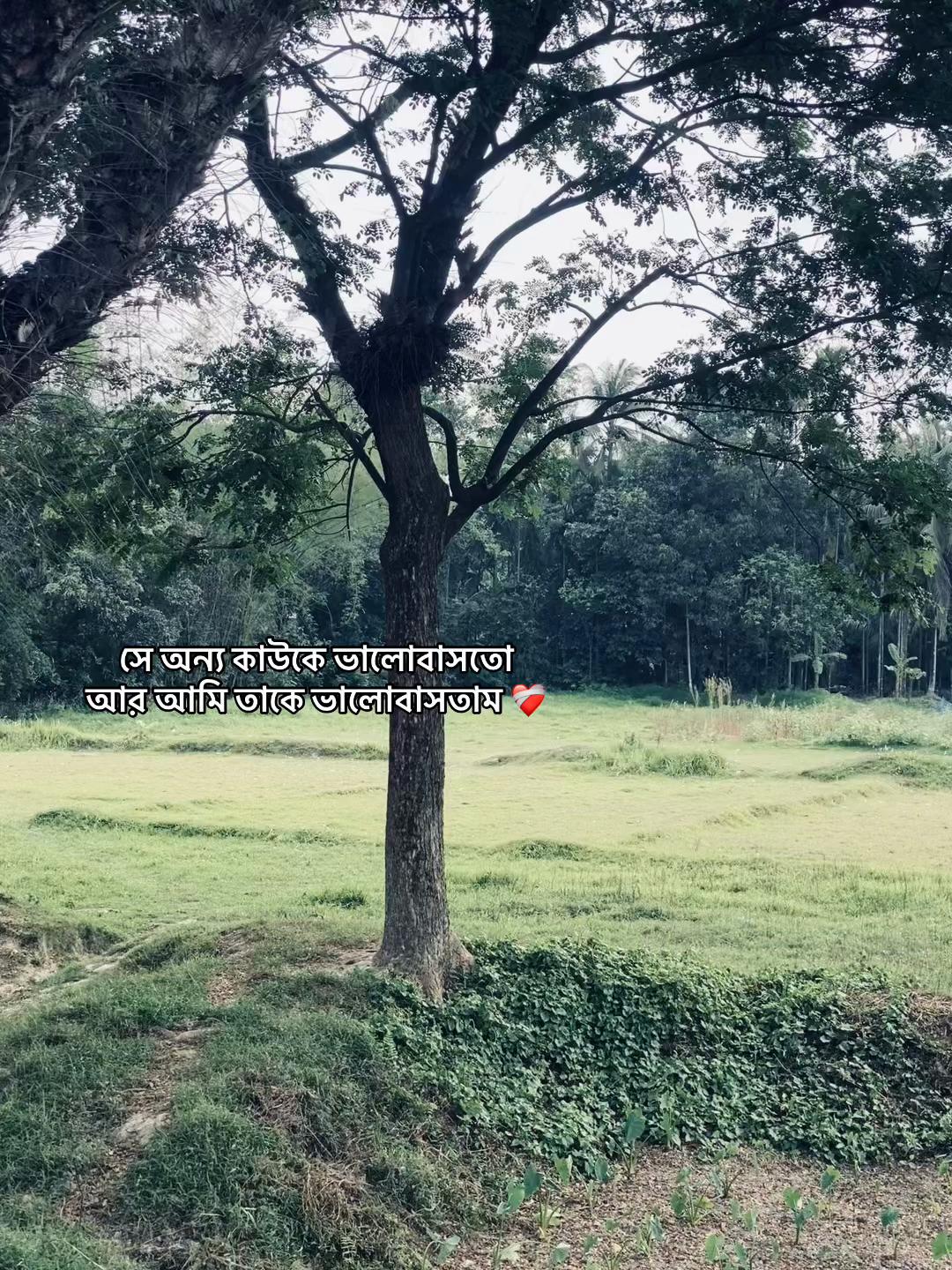 @_নিখোঁজ_