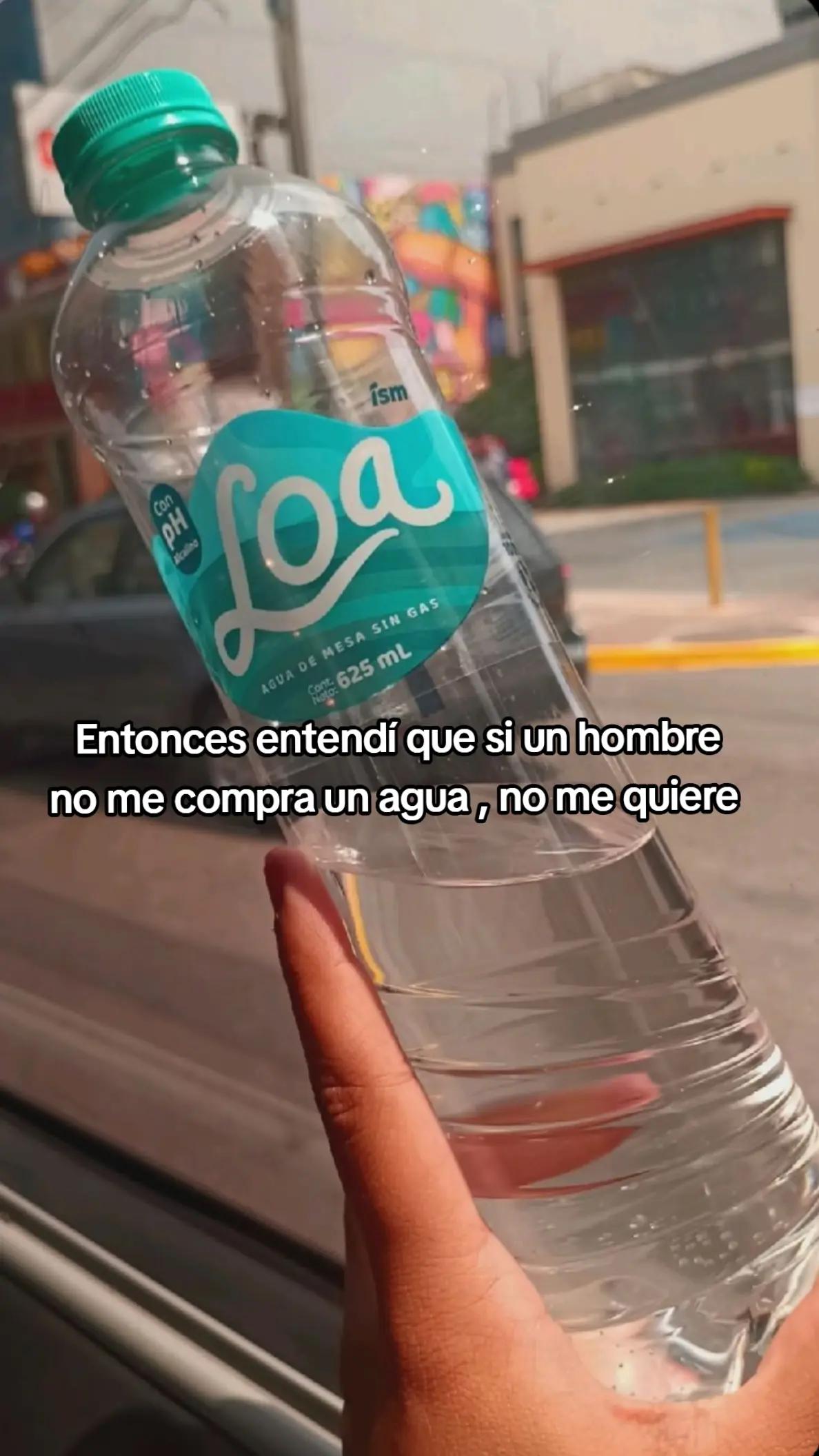 @gatita✨️