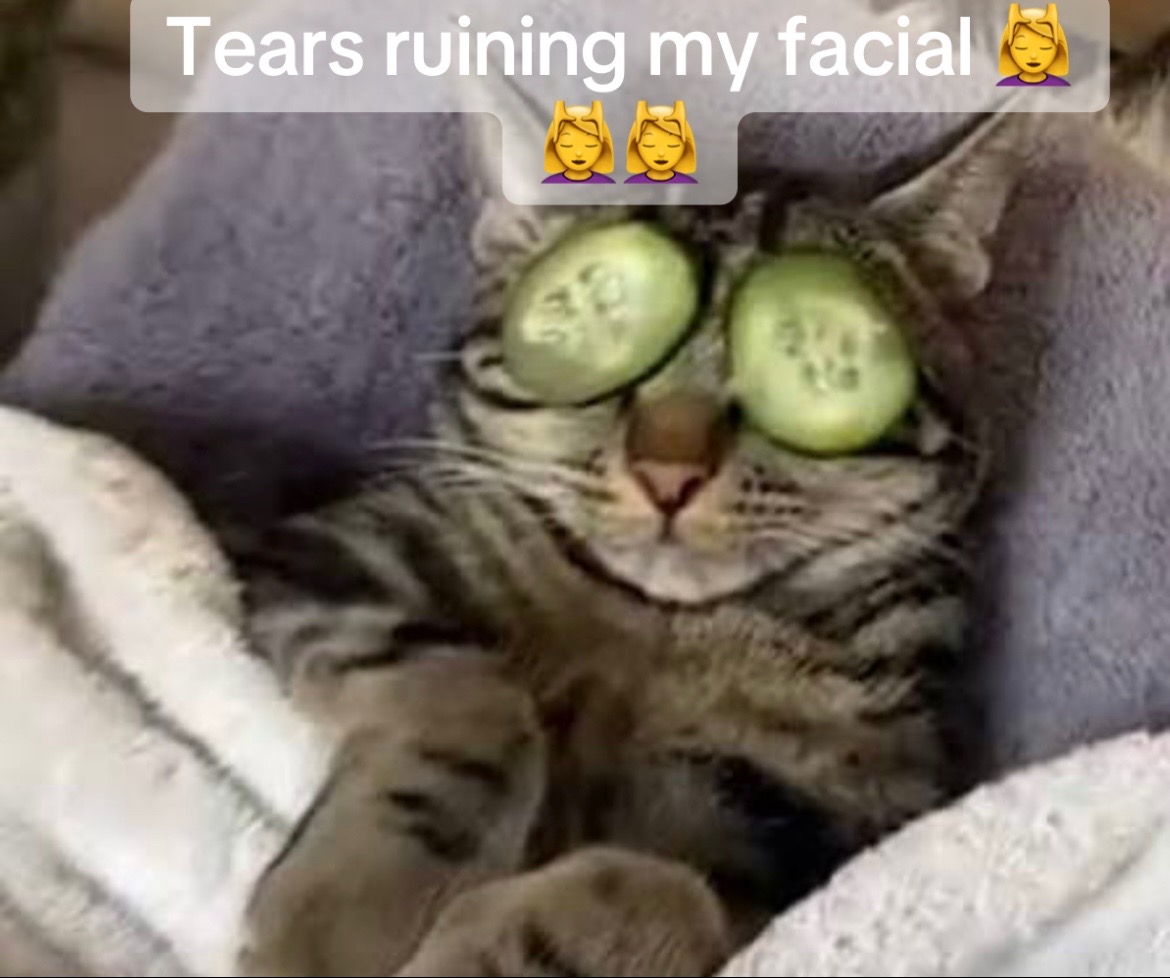 @Beammmer_kitty💕🐈&zwj;⬛