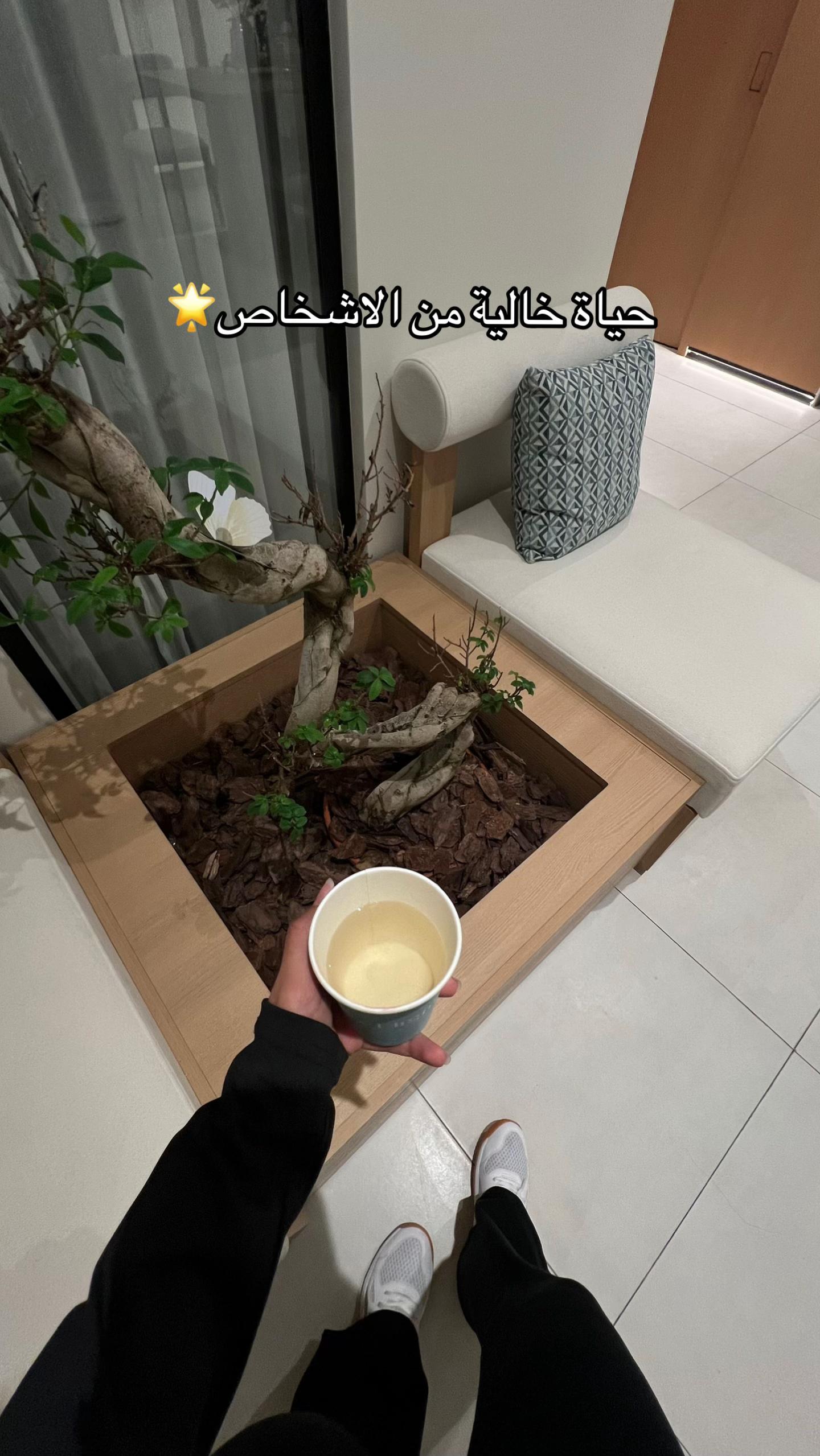 @أبرار | الجبيل