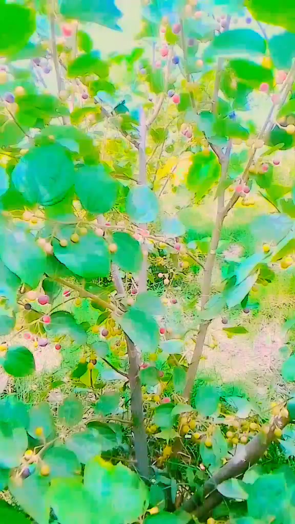 @YouTube