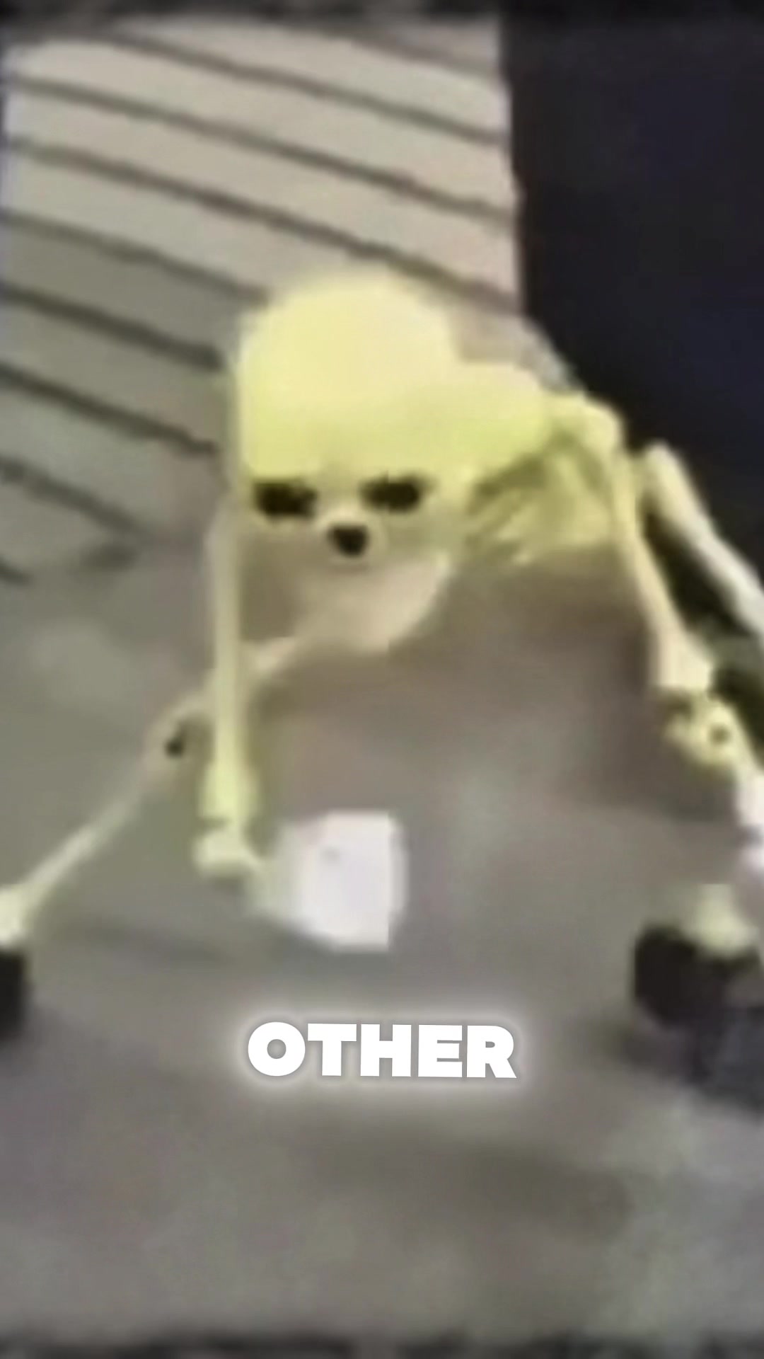 @Human Facts