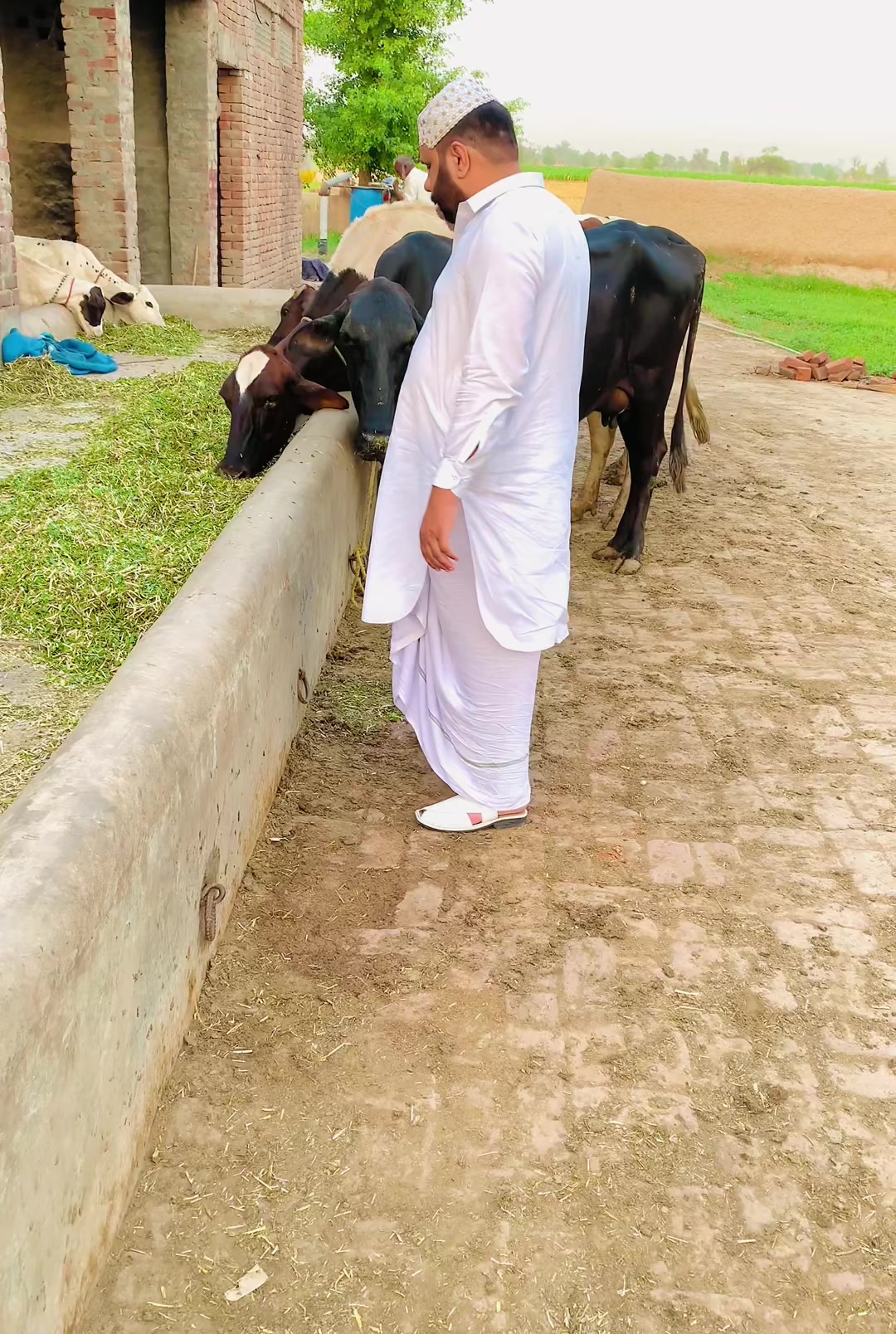 @🤞سردار عبدالحق ڈوگر 🤙