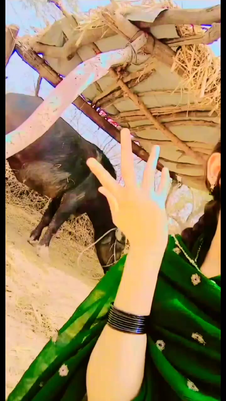 @Hub chauki ki👑 shehzadi 👑