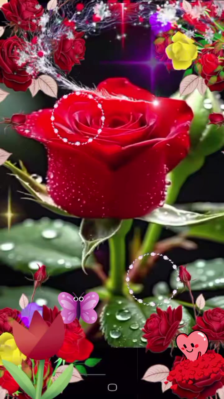 @DILDORA🌹❤️