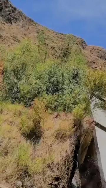 @メپیر صیب࿐