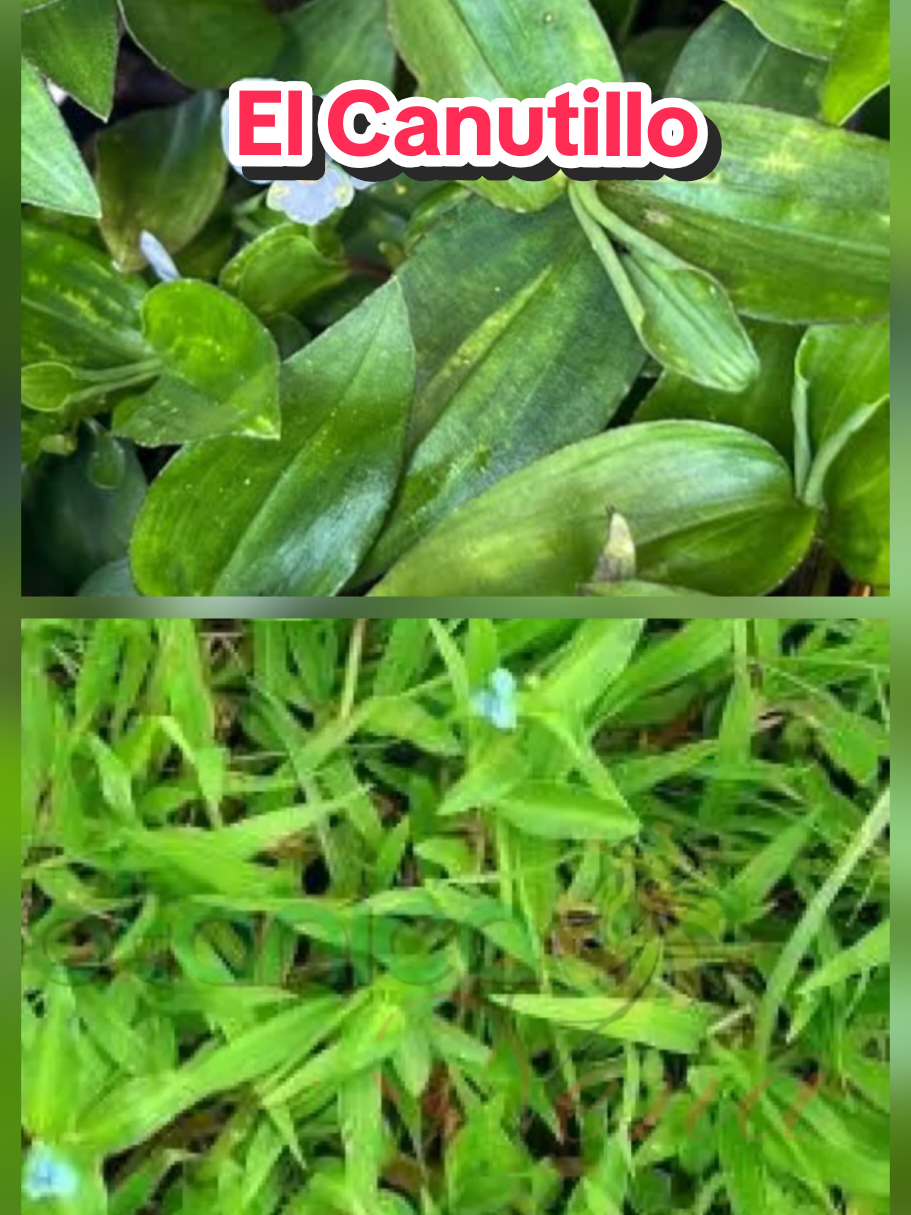 @𝐉𝐨𝐬𝐲