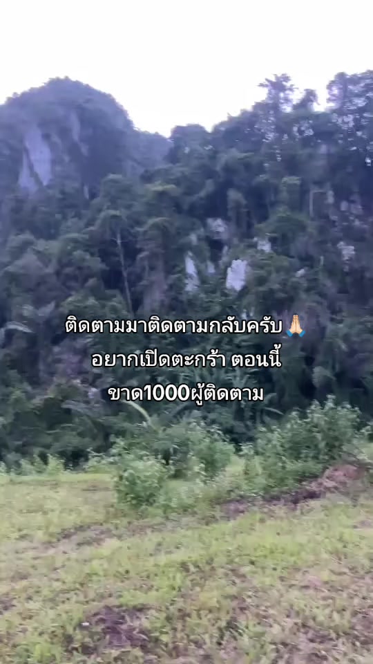 @ติดตามมาติดตามกลับ