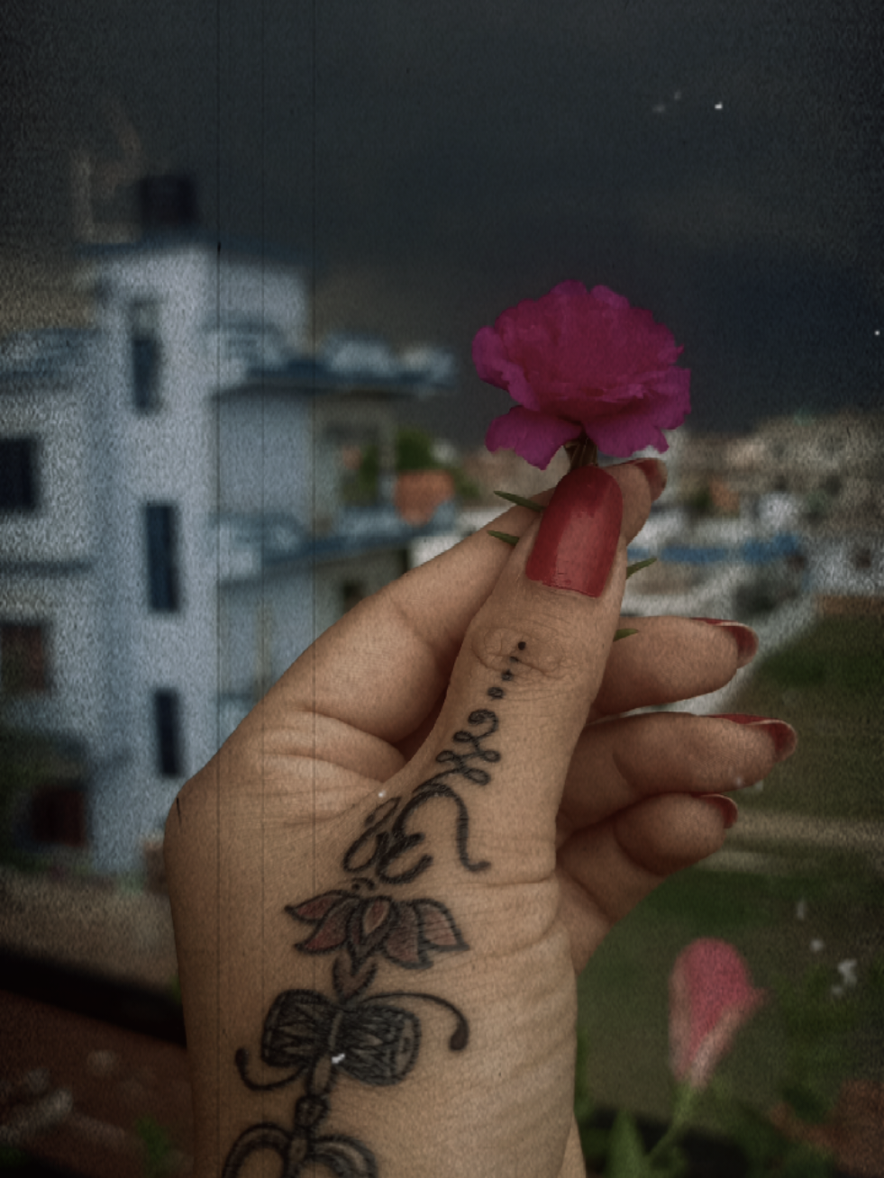 @swechhasingh001