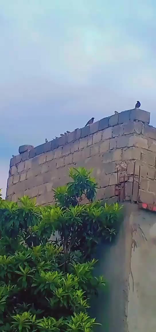 @درویش