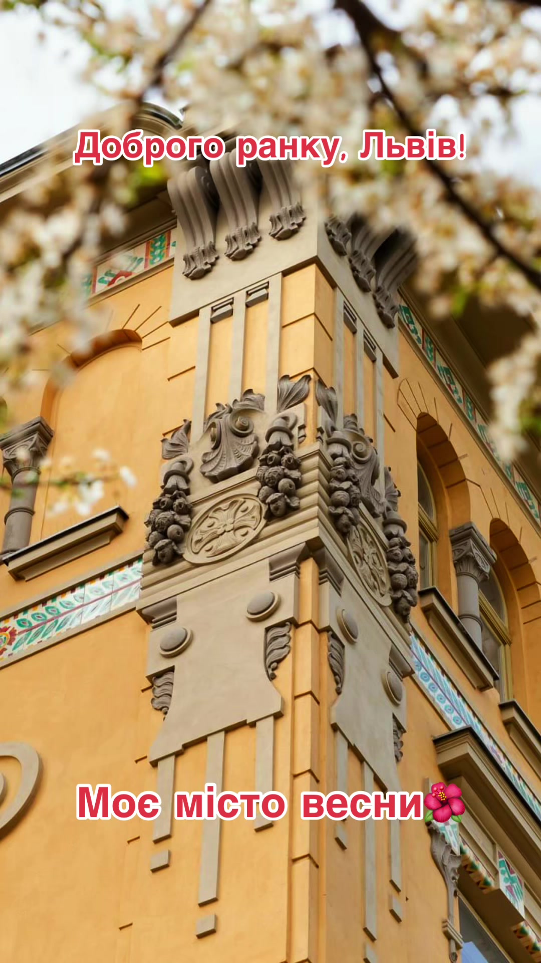 @lviv.vibe