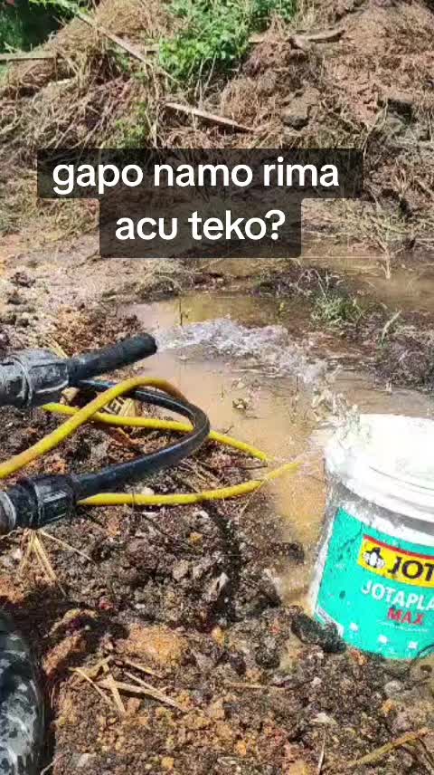 @Yangyang