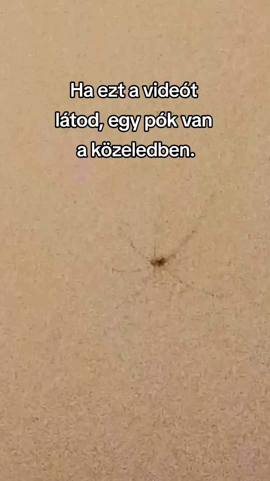 @Ezerarc&uacute;🎤📢🎭😺
