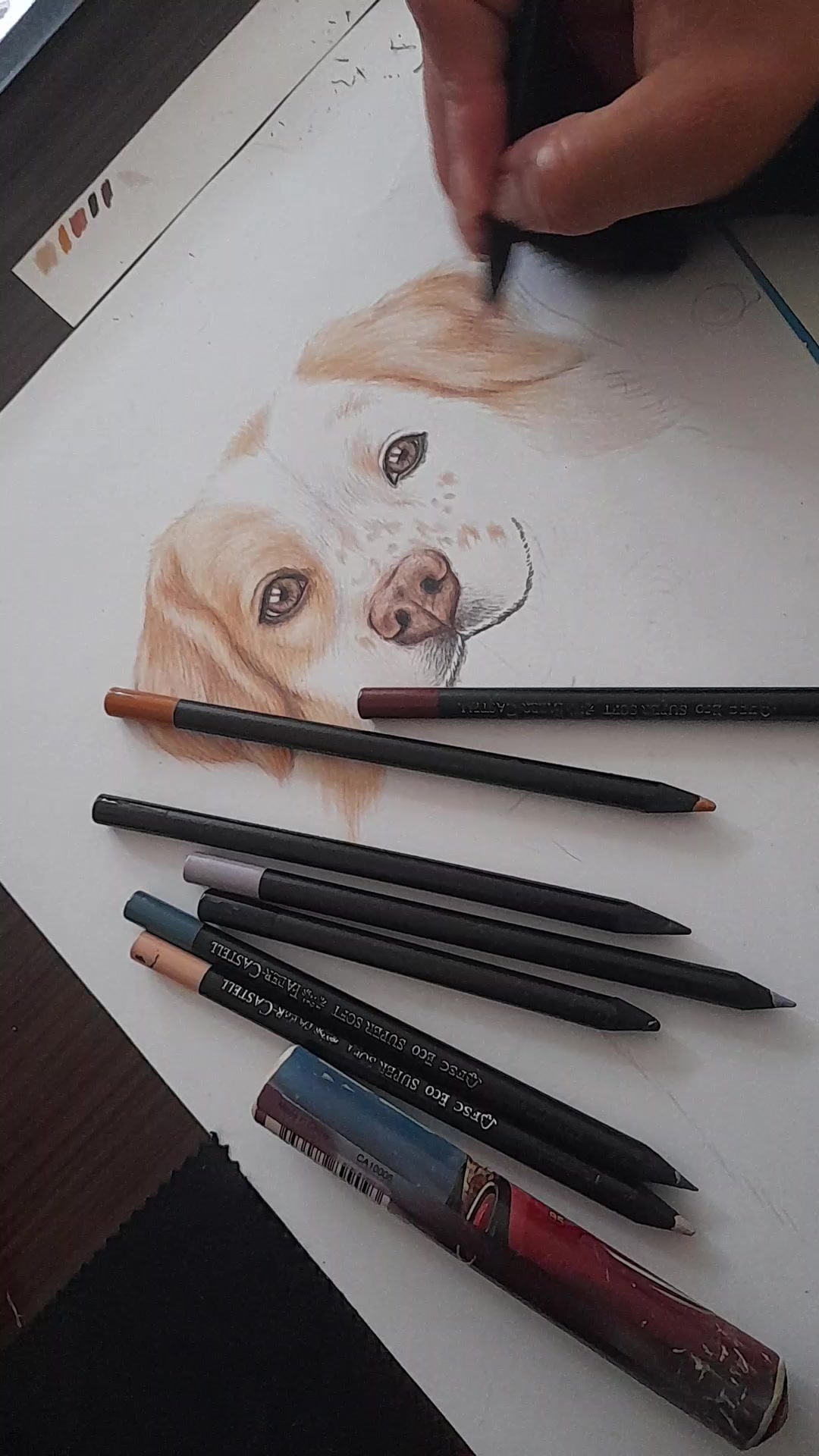 @selena kuriious👩&zwj;🎨