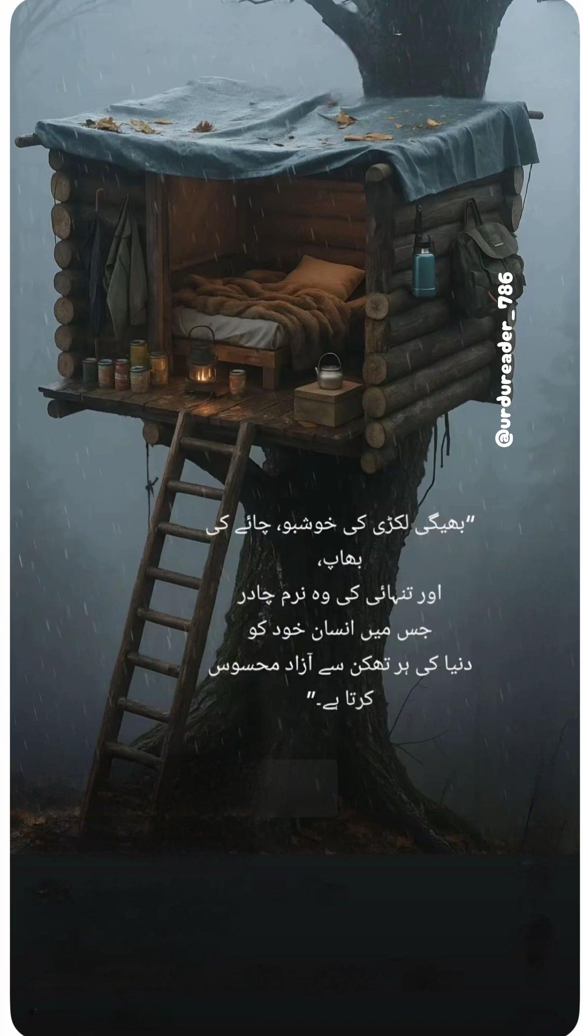 @urdureader_786