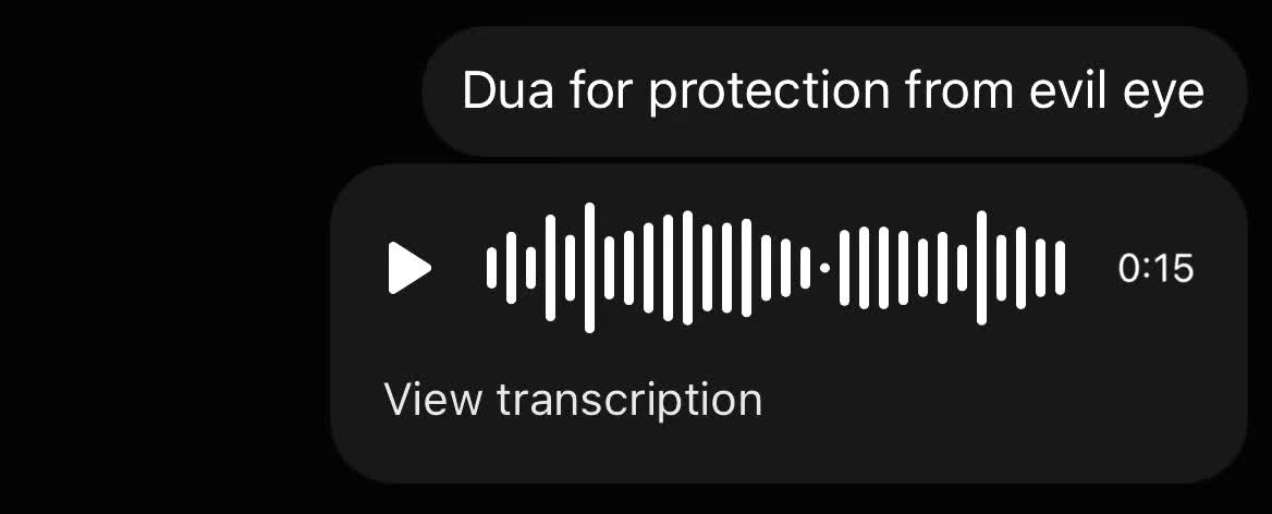 @dxb.mush