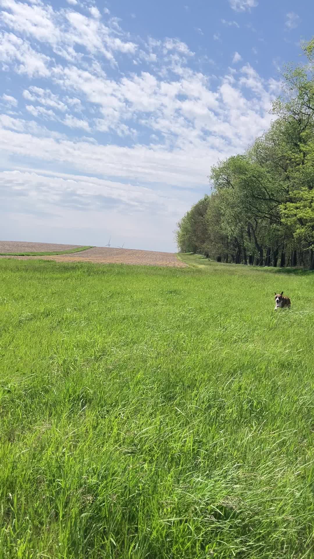 @Hikingwithstanley