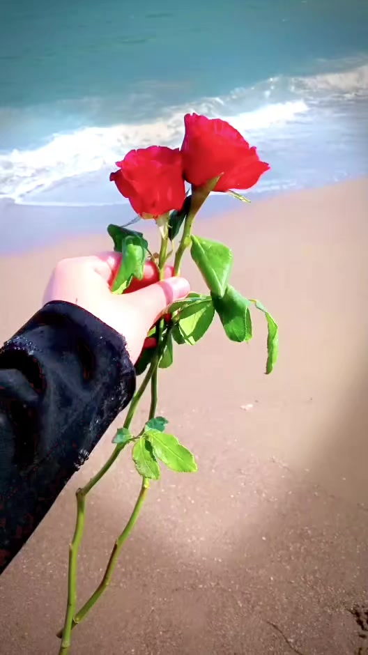 @hnyan