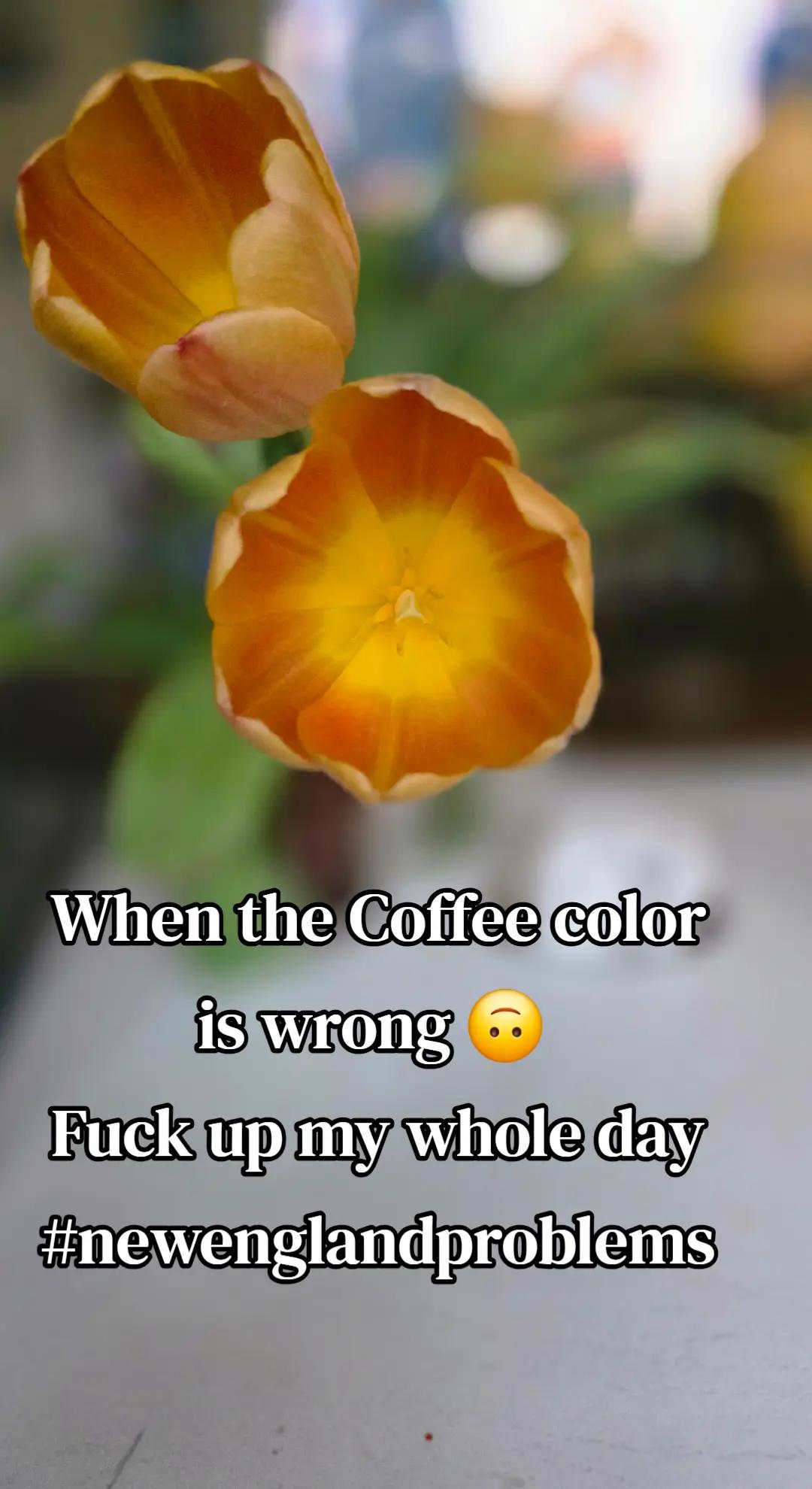 @ItsMeeyahNotMya☕️🩺💉💊🩹