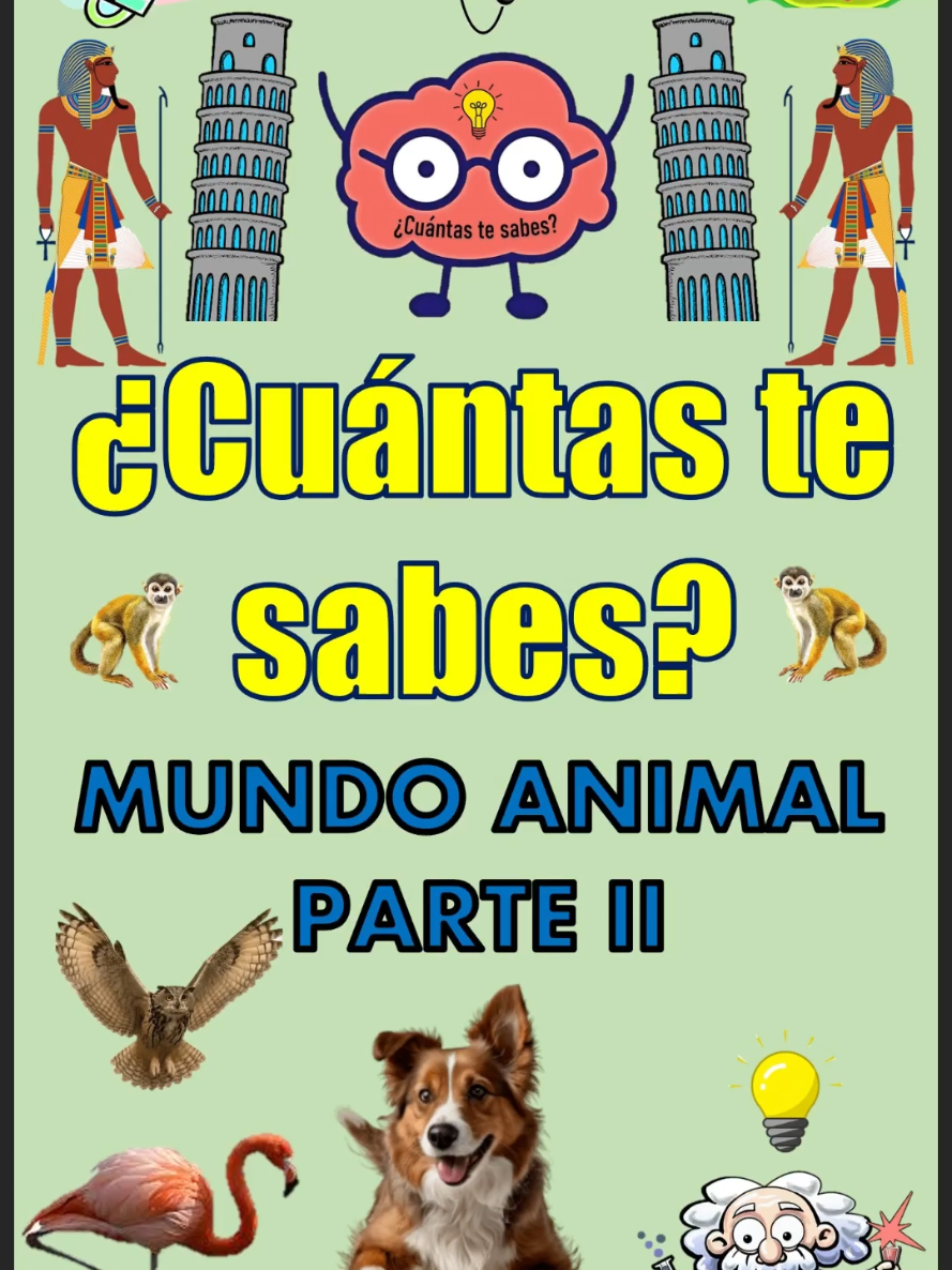 @&iquest;Cu&aacute;ntas te sabes?