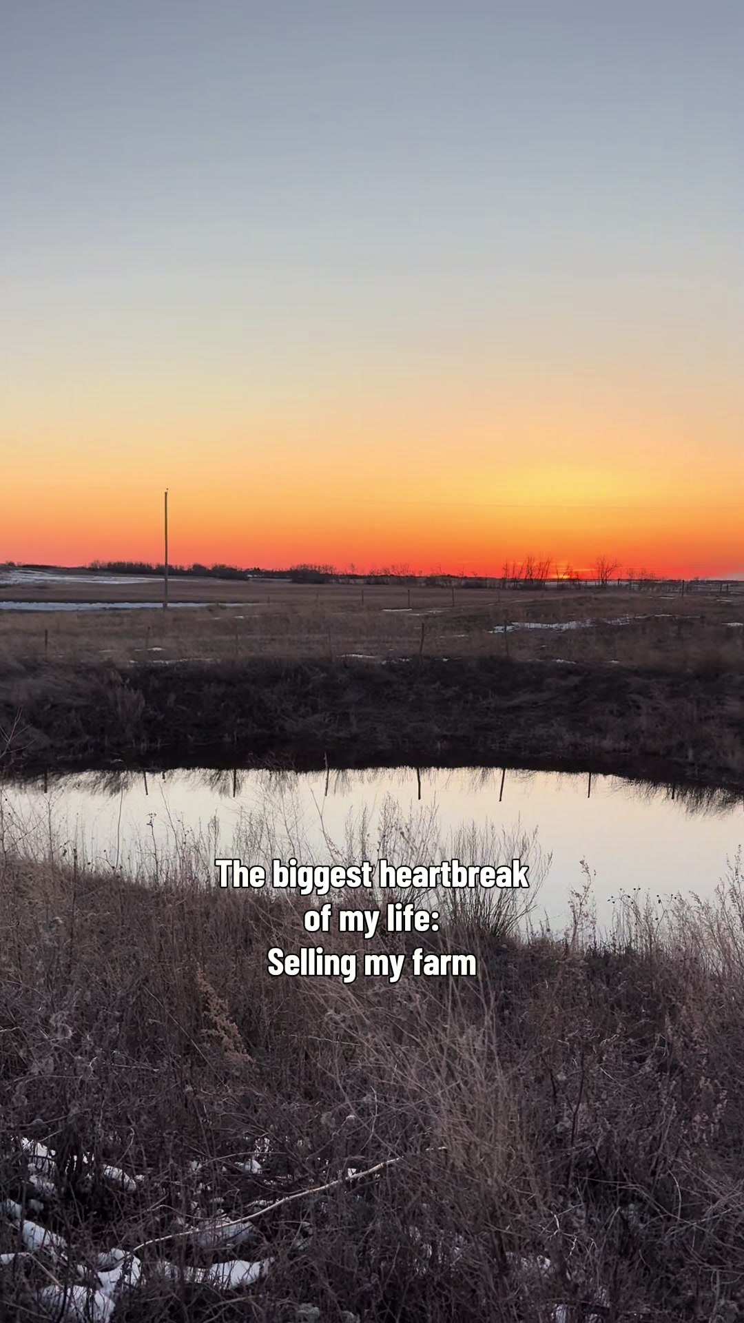 @MayhemFarms