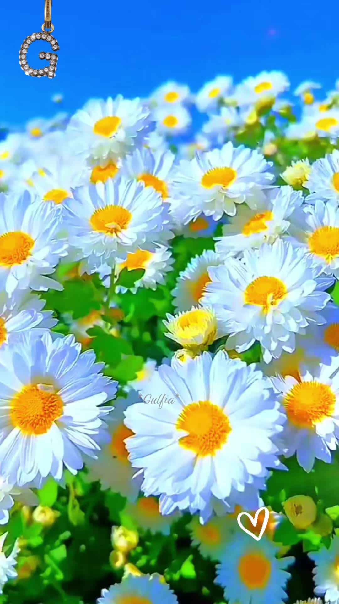 @Гульфия