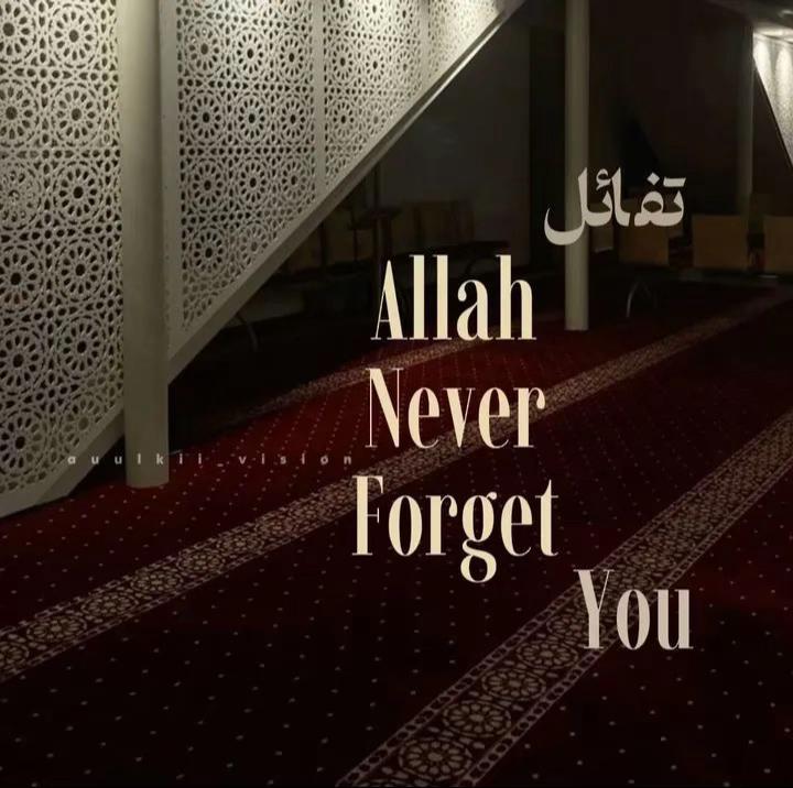@islam.for.your.soul