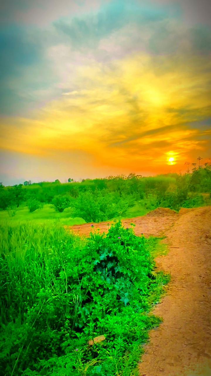 @Asfandyar Barki