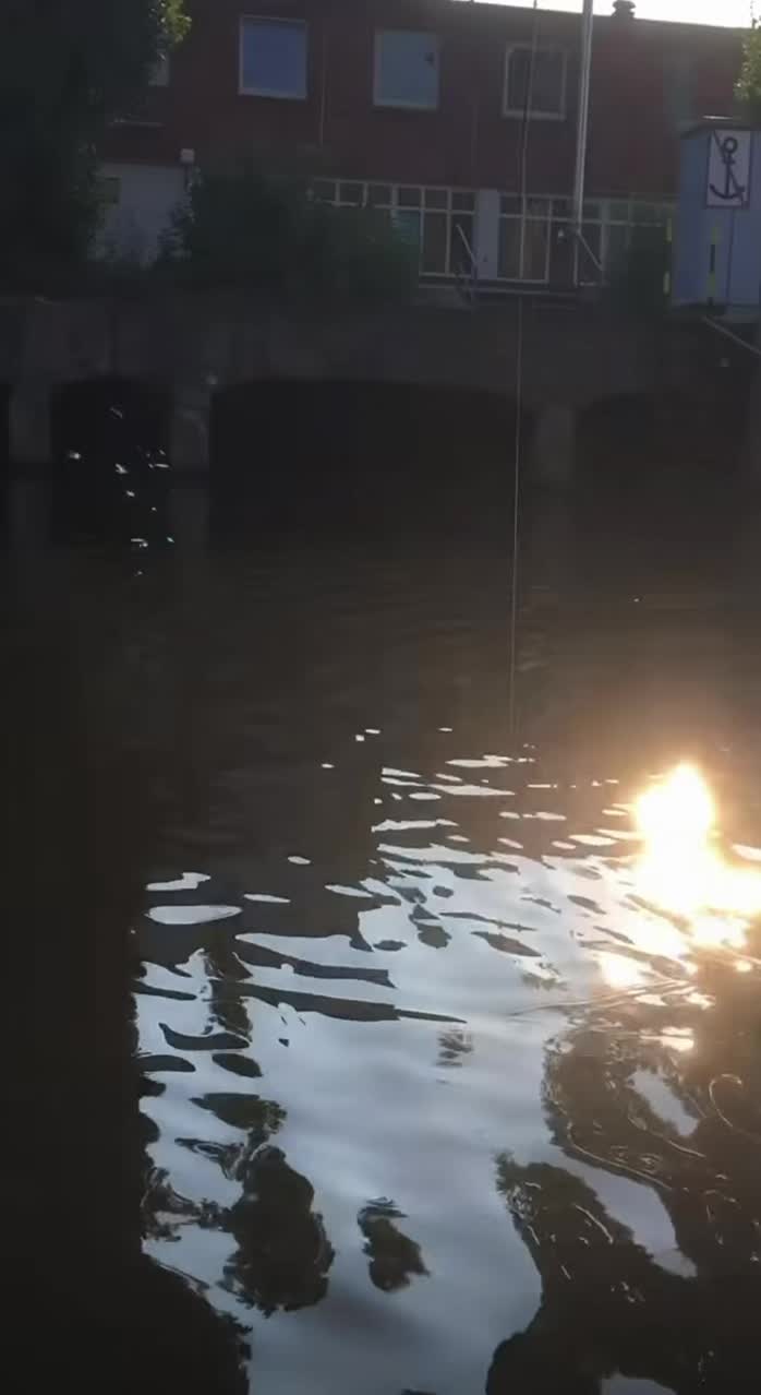 @endlessfishing