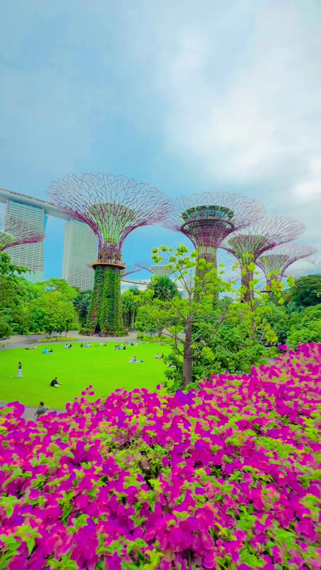 @HELLO SG🇸🇬