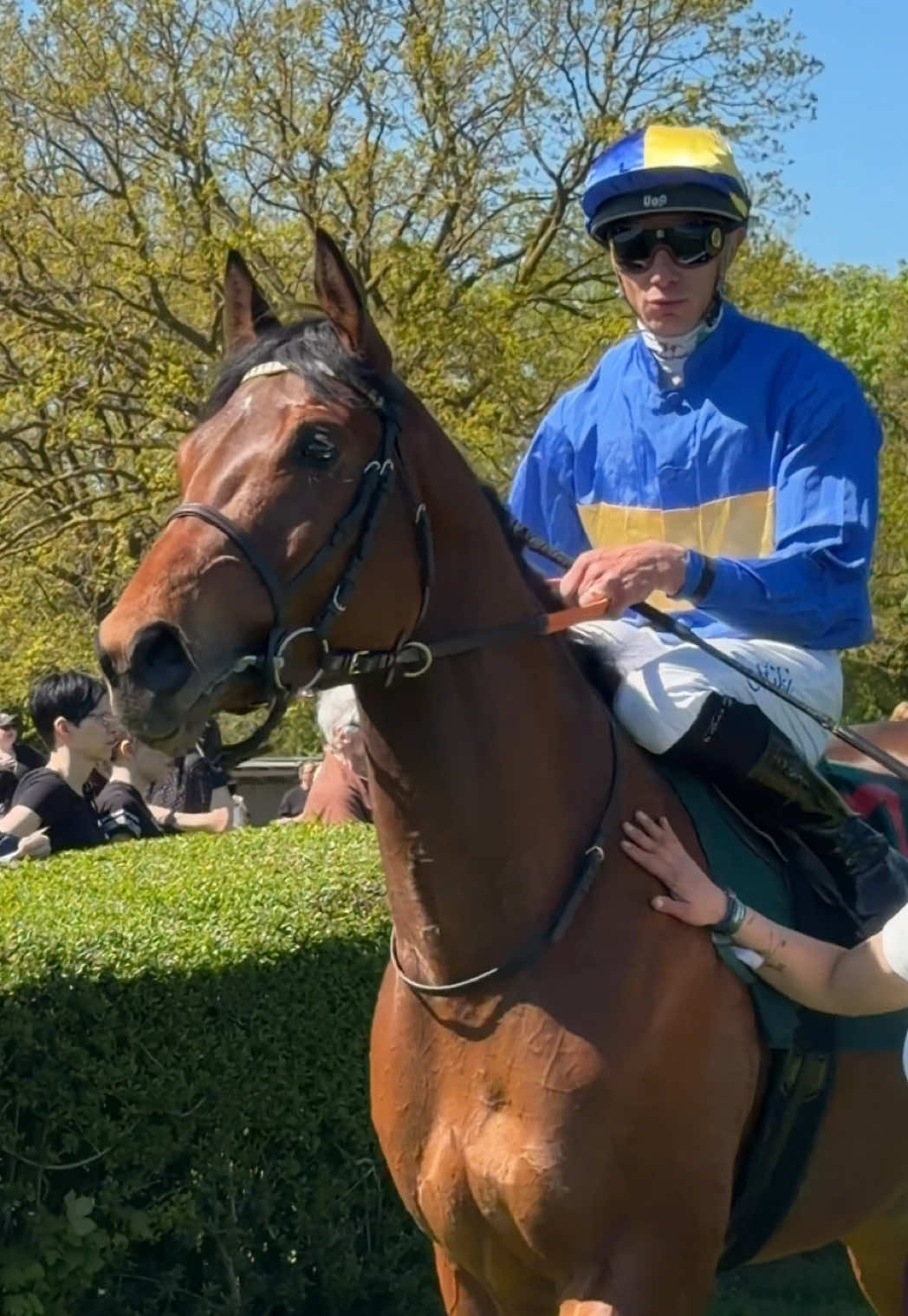 @Laura | German Horseracing