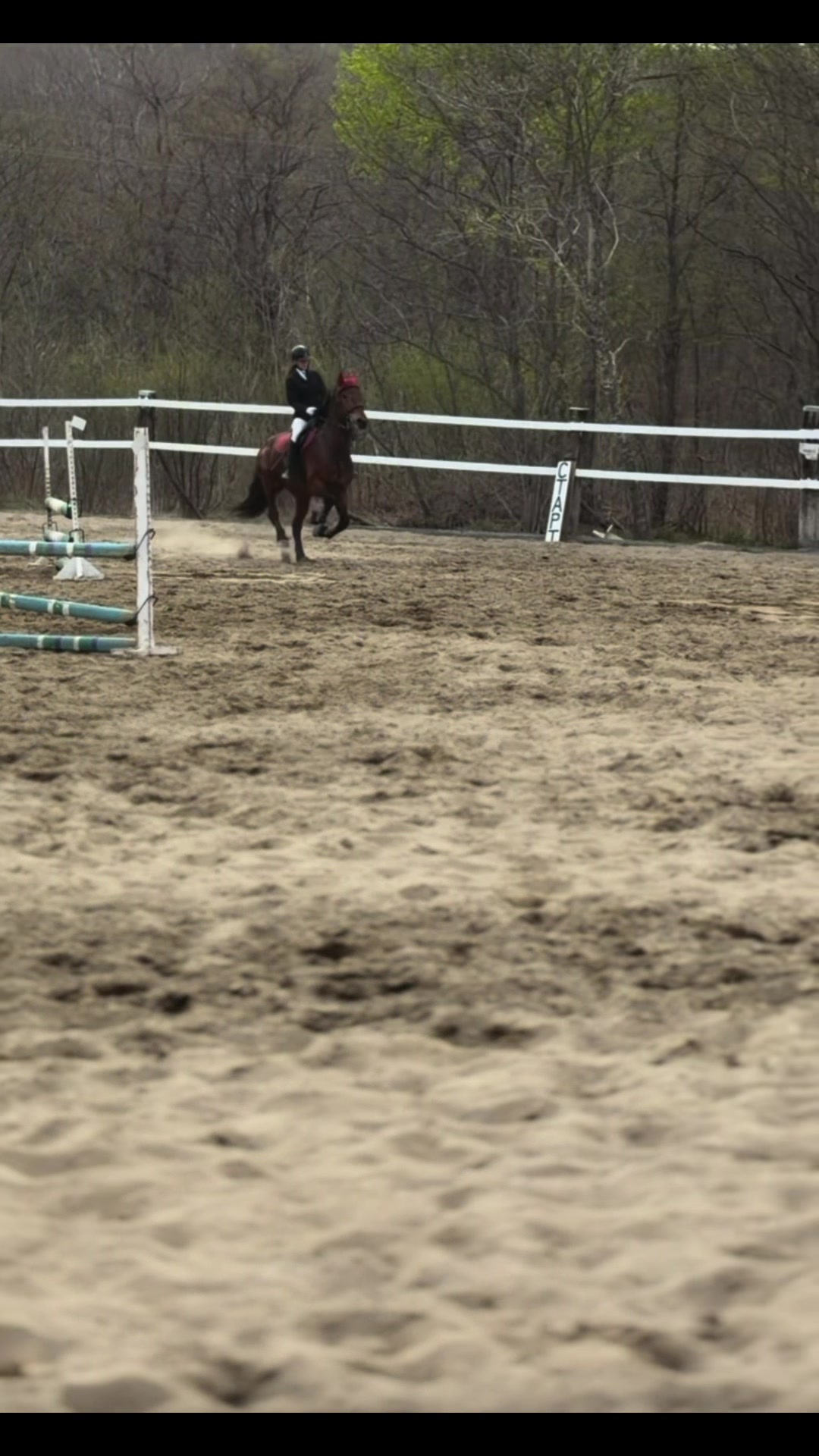 @🐴🤎