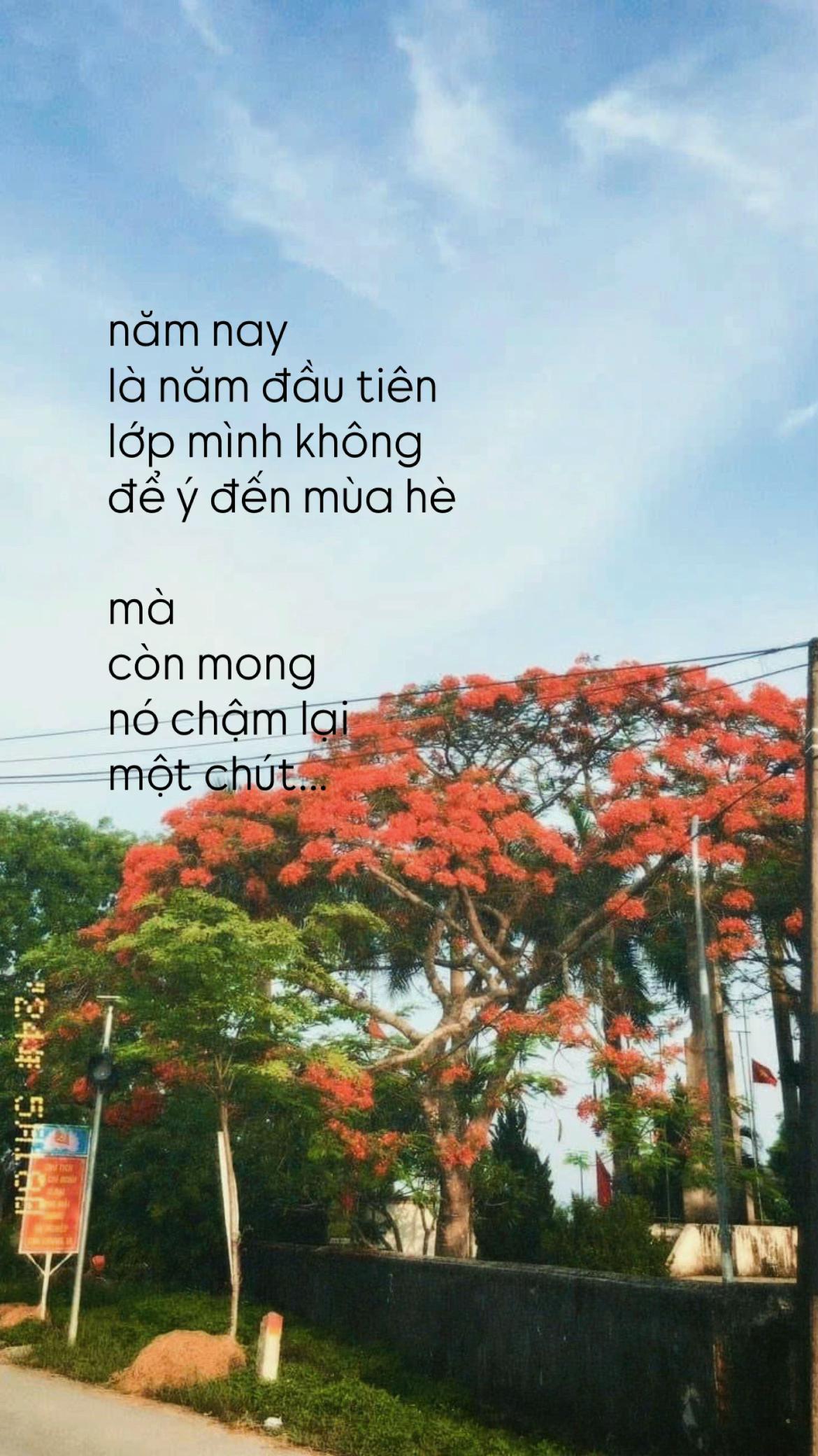 @9B ai cũng mê😍