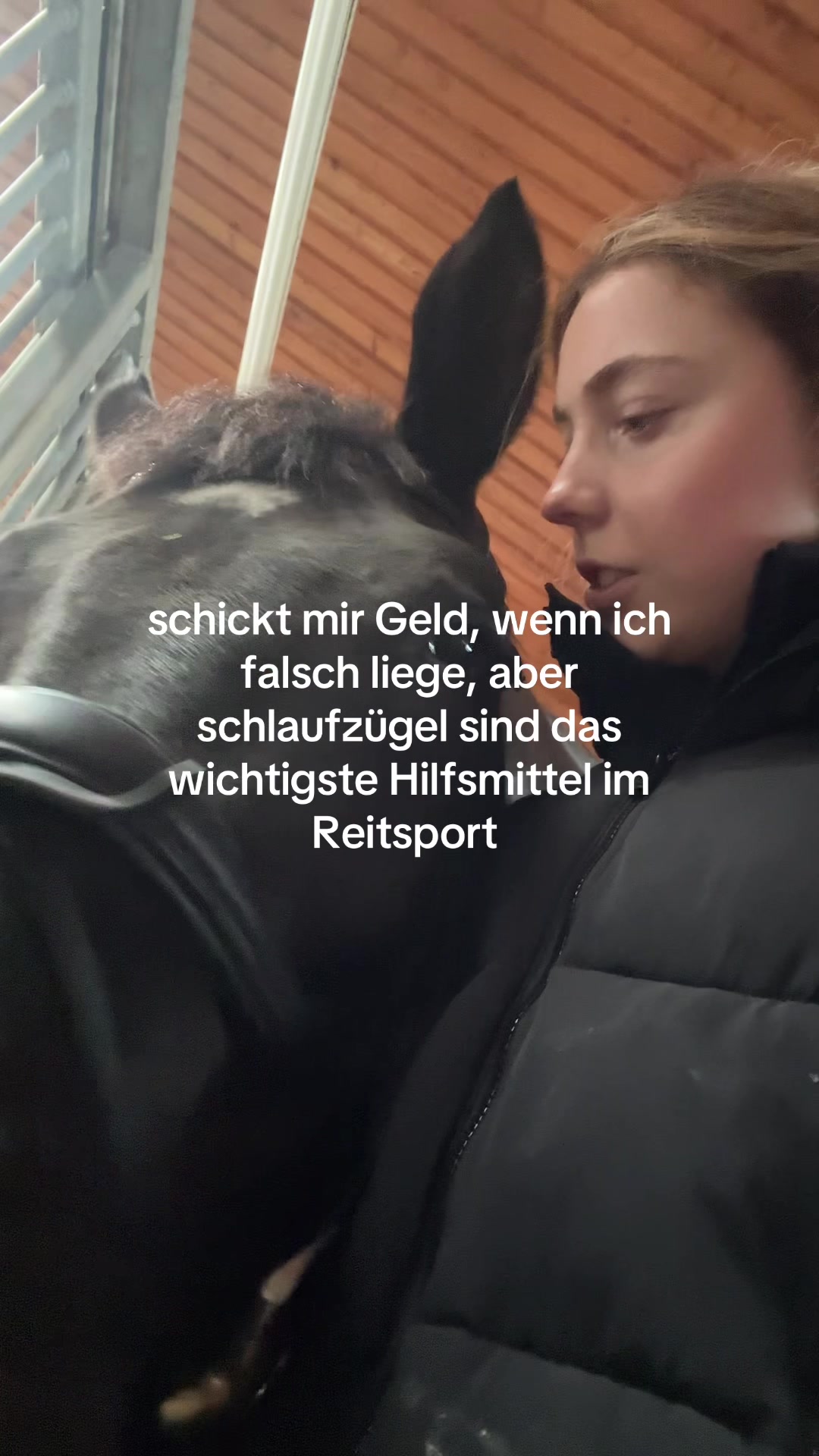 @evis.pferdechaos