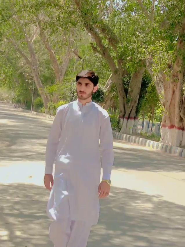 @شیرنی🦁❤️