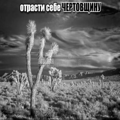 @dou_бля