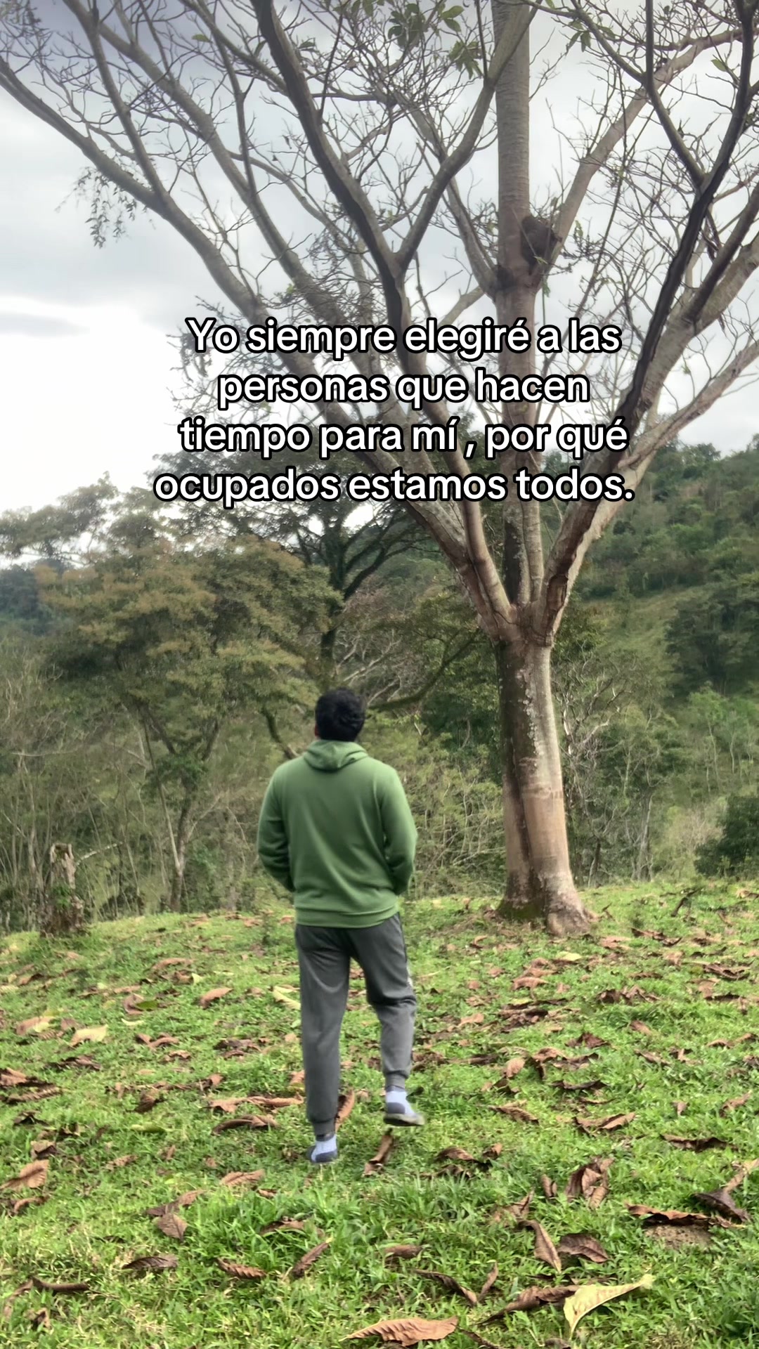 @Go Diego