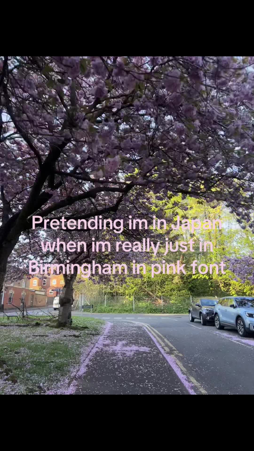 @💗𝐼𝓆𝓇𝒶💗