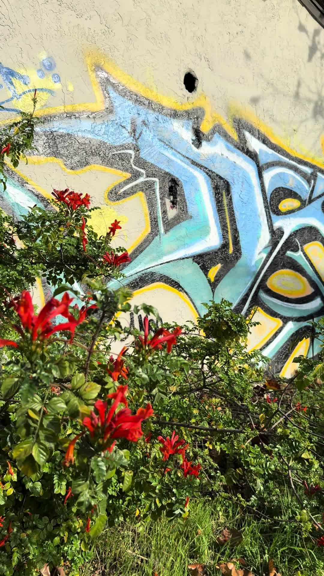@Nsd.graffiti
