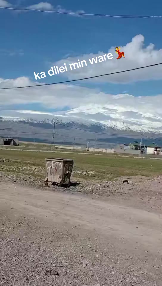 @dılemın