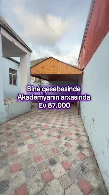 @vasif zeynalov